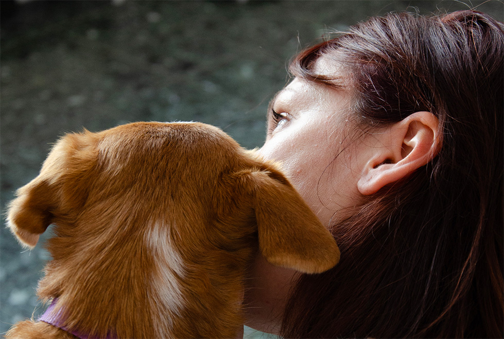 Harmonie en communication avec un cheval