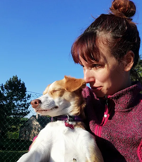 comment se passe une communication animale