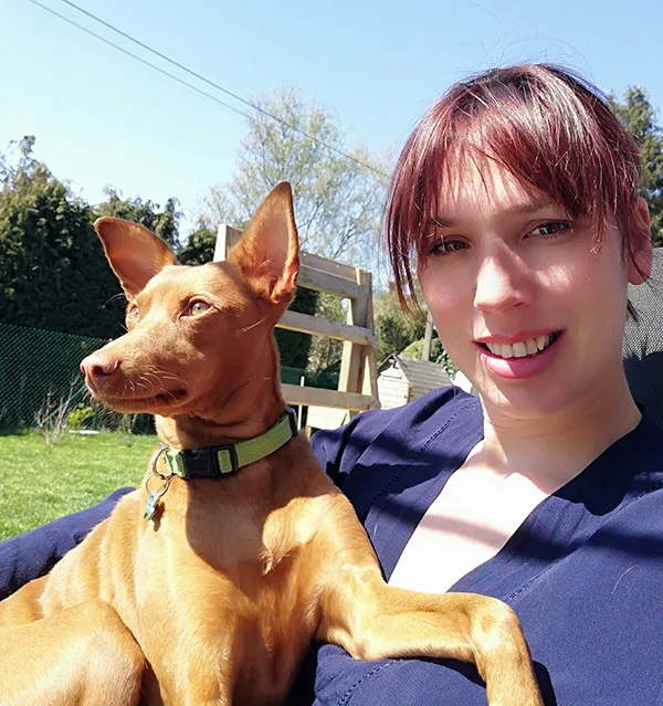 communication animale avec  un  chien